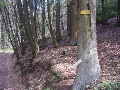 6-Allspacherkopf_4_400